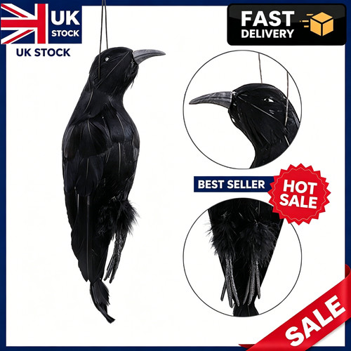 Lifesize extra large - lifesize, crow