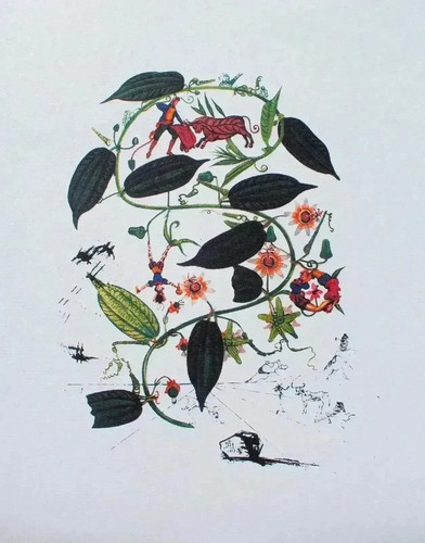 Salvador dali passionflower - salvador, dali: