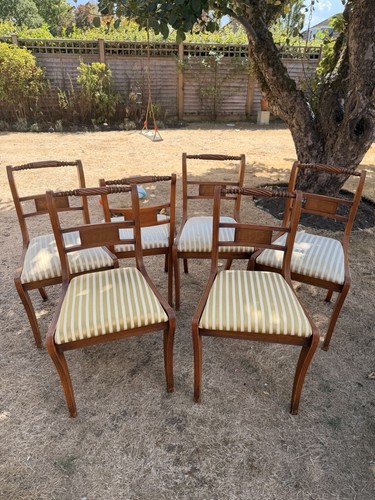 Antique yew regency style - antique, 6
