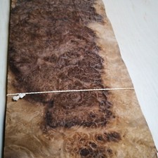  Burr/Burl Walnut