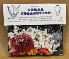 Vintage Marine Coral