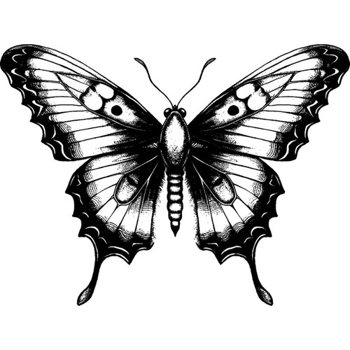 Butterfly unmounted rubber - unmounted,