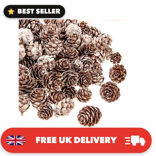 100pcs christmas natural - christmas,