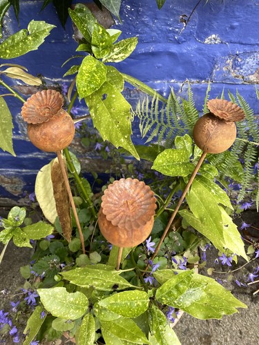 Rusty iron metal - metal, poppy