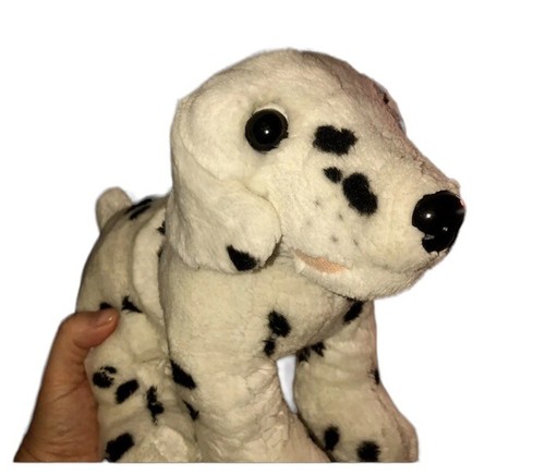 Dalmatian dog puppy - dog, keel