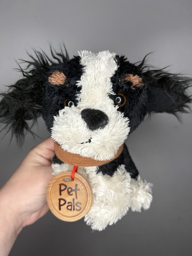 Early learning centre - early, pet