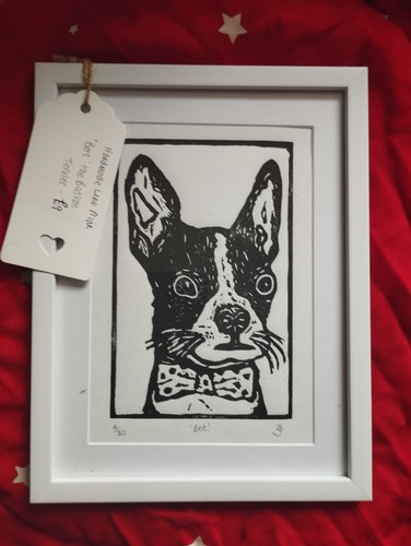 Dog boston terrier black - boston,