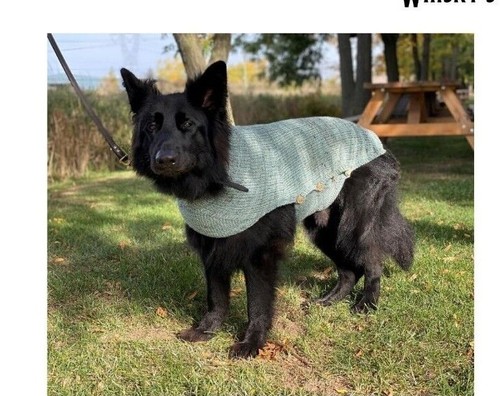 Dog coat aran - coat, yarn