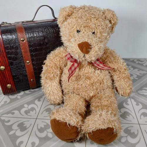 Debenhams teddy bear - teddy, plush