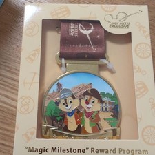 Hong Kong Disneyland Annual