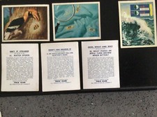 Trex club trading cards tea - club,