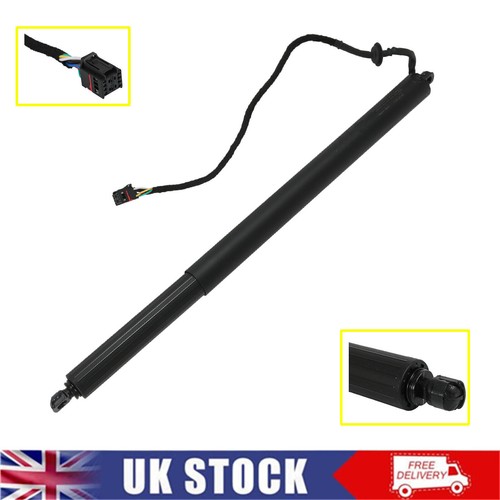 Electric tailgate gas - electric, strut