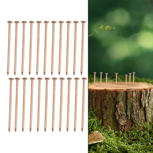 Tree stump root removal - stump,