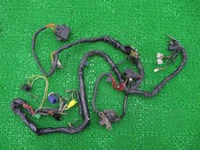 Genuine Suzuki Goose 350 Main