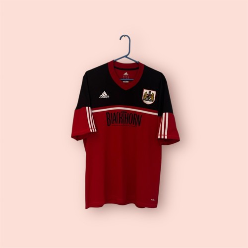 Bristol city football - bristol,