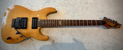 Dean custom 350 floyd c350f - dean,