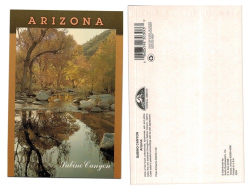 Postcard sabino canyon - sabino,