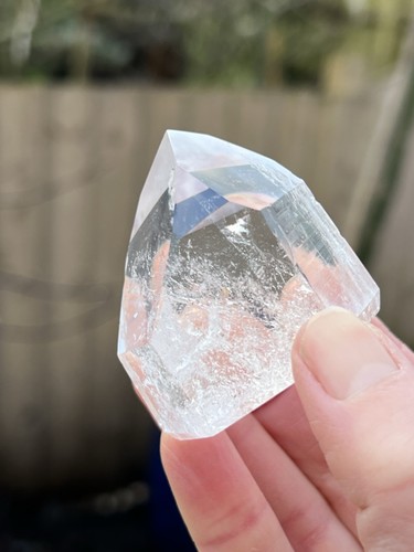 Large lemurian seed - large, clear