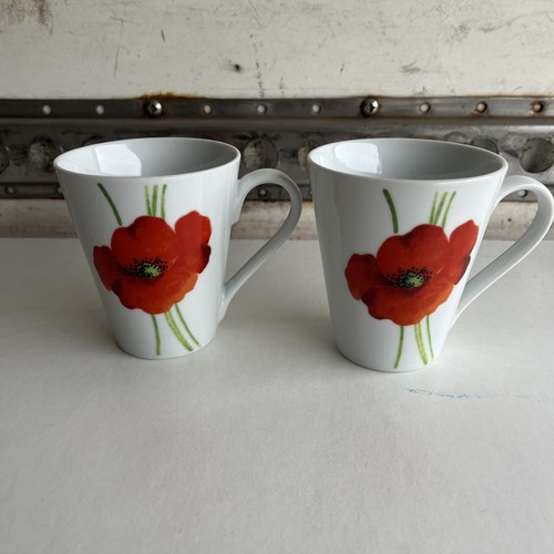 Rayware alpine poppy - alpine,