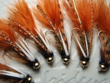 Irideus Peacock Prince Soft