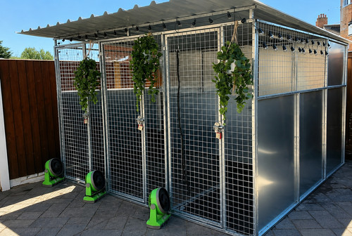 Galvanised dog run kennel - run,