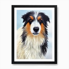 Polish lowland sheepdog - polish, 3