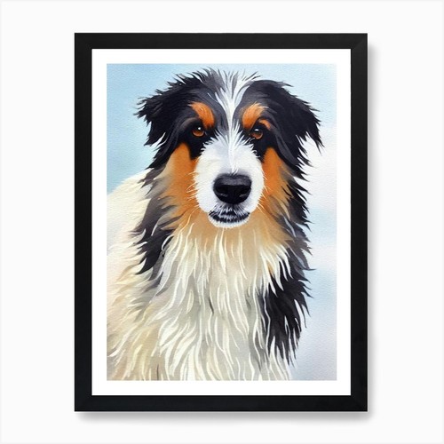 Polish lowland sheepdog - sheepdog, 3