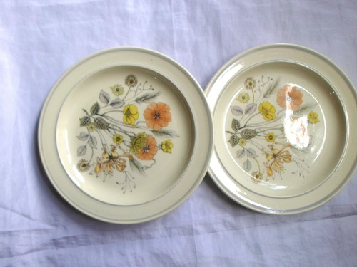 Meakin trend hedgerow - 2, g