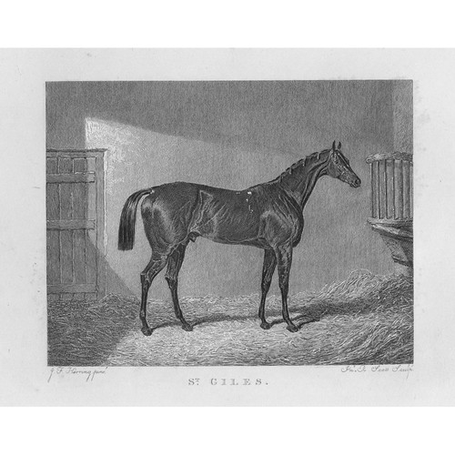Giles racehorse winner of - winner,