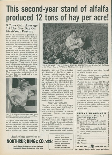 1955 919 brand alfalfa seed - brand,