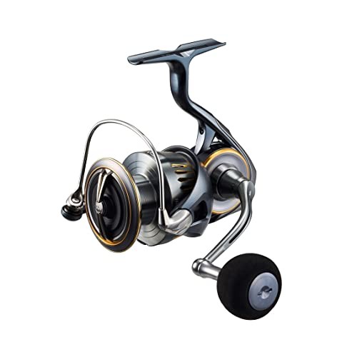 Daiwa spinning - spinning, reel