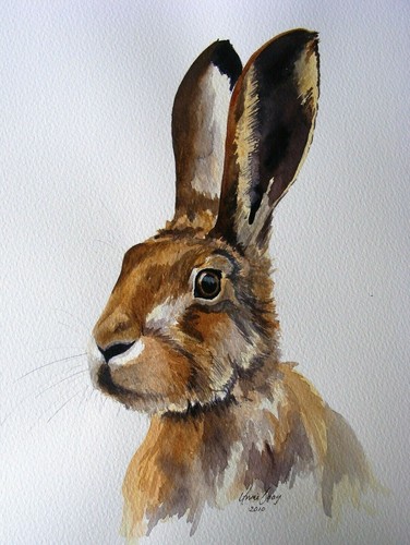 Bunny rabbit animal abstract - bunny,