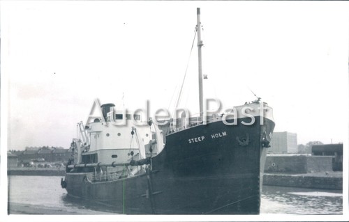 Steep holm ship silver - holm, gelatin