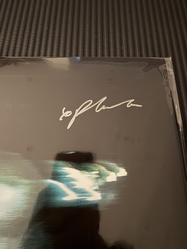 Phoebe bridgers lost - -,