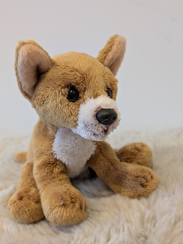 Suki chihuahua dog puppy - suki, plush