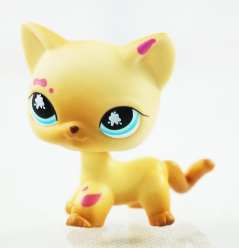 Messiest cat cream - messiest, tan