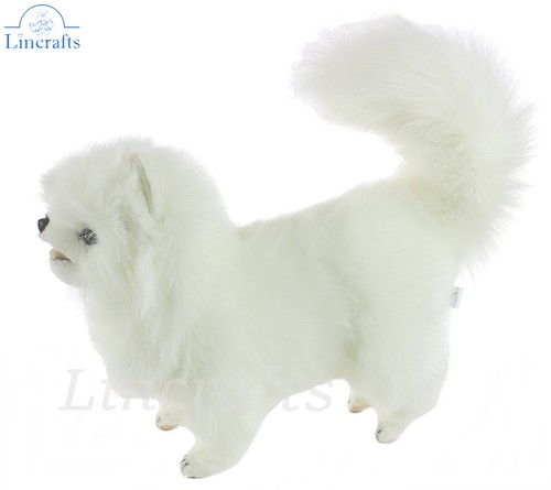 Hansa white pomeranian dog - white,