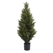Cypress Cedar Tree 90cm