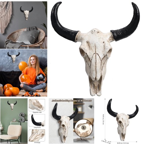 Skull wall sculpture - skull,