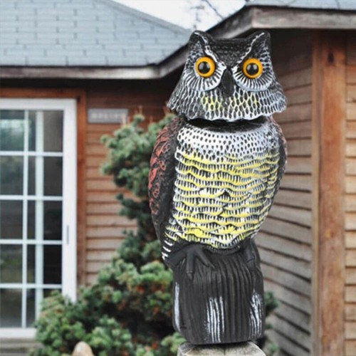 Realistic owl decoy deterrent - decoy,