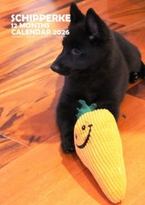 Schipperke A3 2026 Calendar
