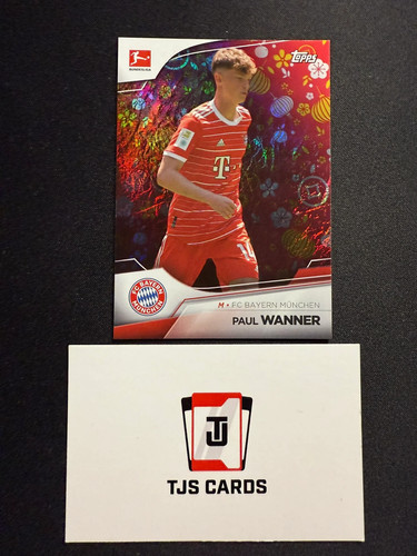 Paul wanner 199 - wanner, /199