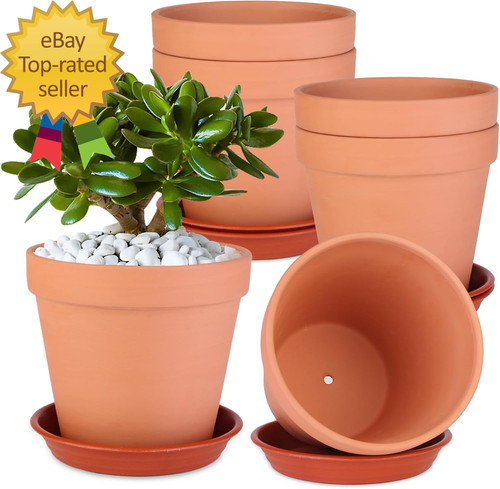 Pack inch clay pots - 6, with