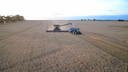 Canvas print harvest new - print,