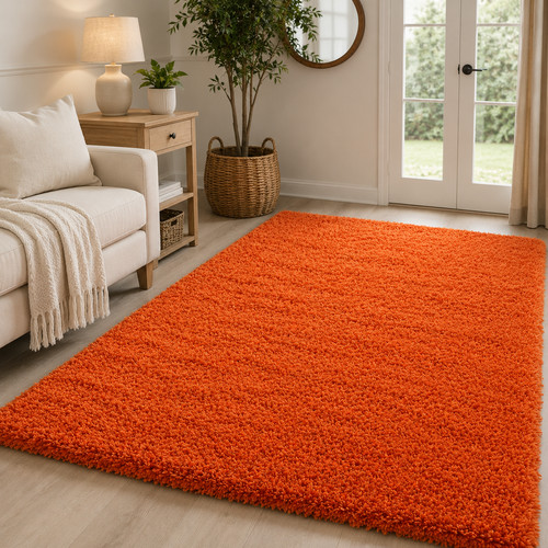 Fluffy shaggy rug soft pile - rug,