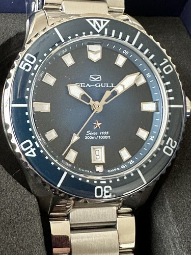 Seagull ocean star - ocean, pro
