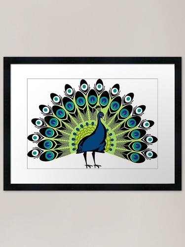 Peacocks clothing peacock - peacocks, clothing/