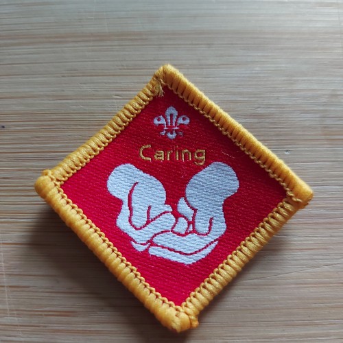 Scouting discontinued cub - uk,