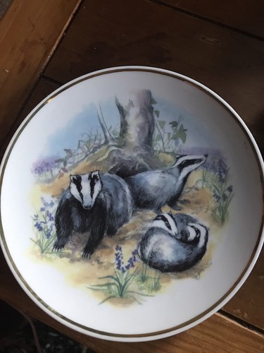 Vintage wildlife of - vintage,