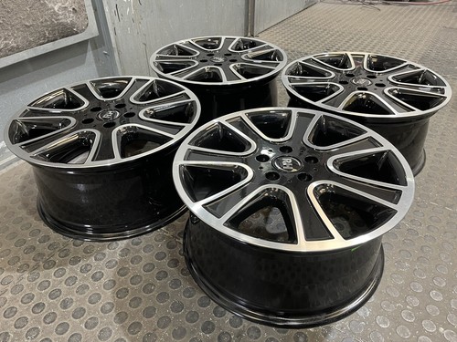 Brand new naj8585 gloss - brand,